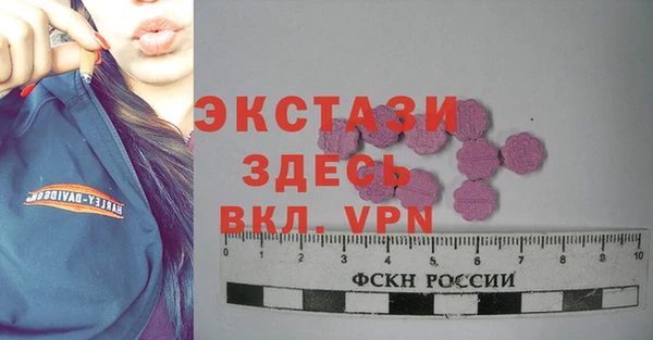 гашик Алексин