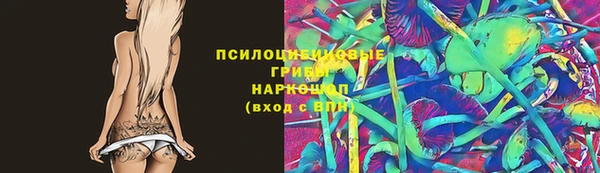гашик Алексин