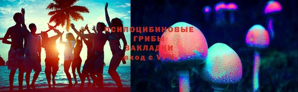 гашик Алексин