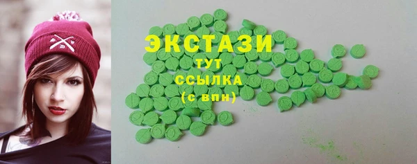 гашик Алексин