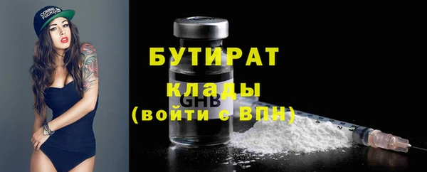 гашик Алексин