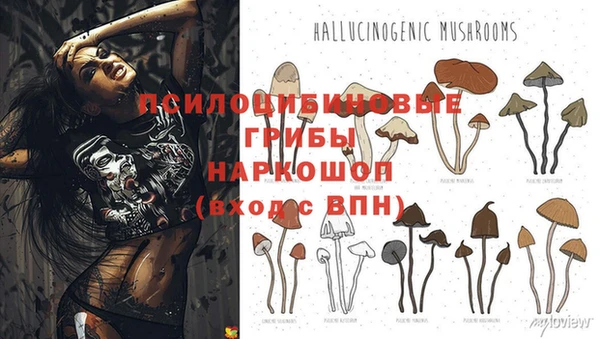 кристаллы Алексеевка