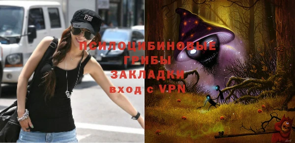 гашик Алексин