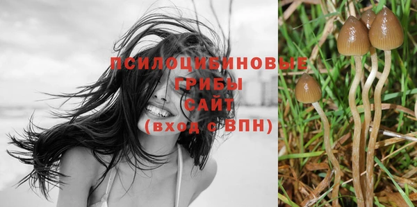 каннабис Алзамай