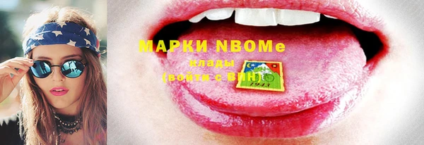 гашик Алексин